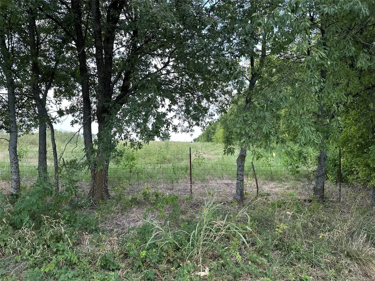 Lot 1 Rutledge Road, Whitewright, TX 75491 - Image #1