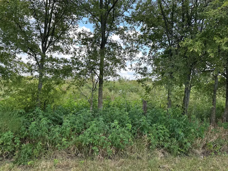 Lot 1 Rutledge Road, Whitewright, TX 75491 - Image #3