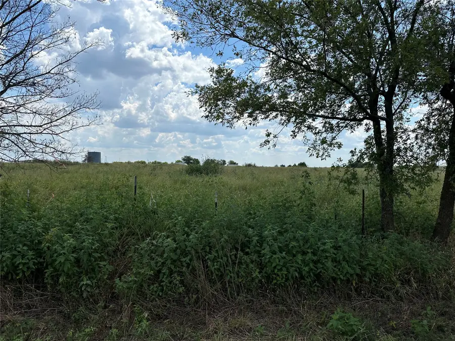 Lot 3 Rutledge Road, Whitewright, TX 75491 - Image #2
