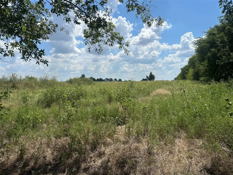 Lot 4 Rutledge Road, Whitewright, TX 75491 - Image #3