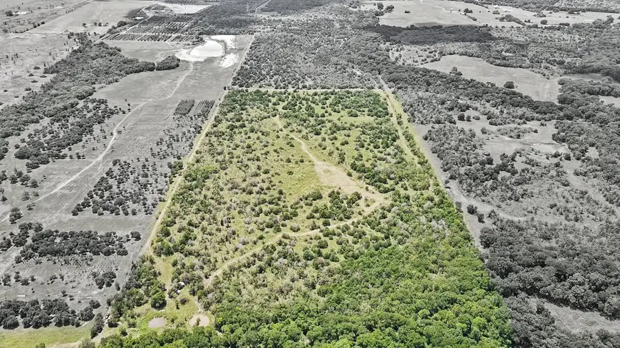 885 Cr 244 Road, Jewett, TX 75846 - Image #3