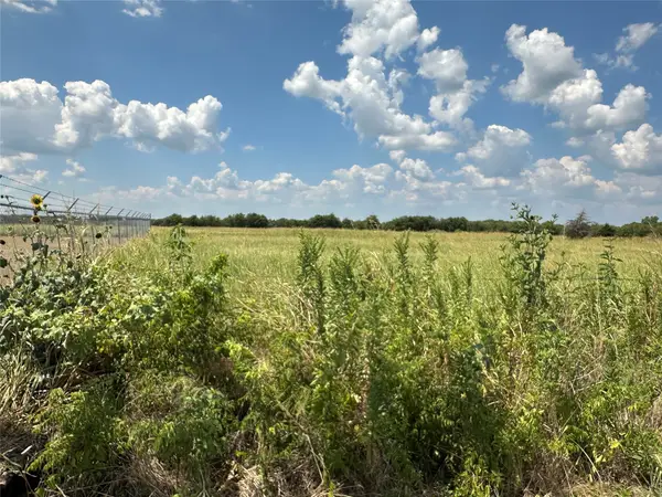 Lot 9 Eastline Road, Whitewright, TX 75491