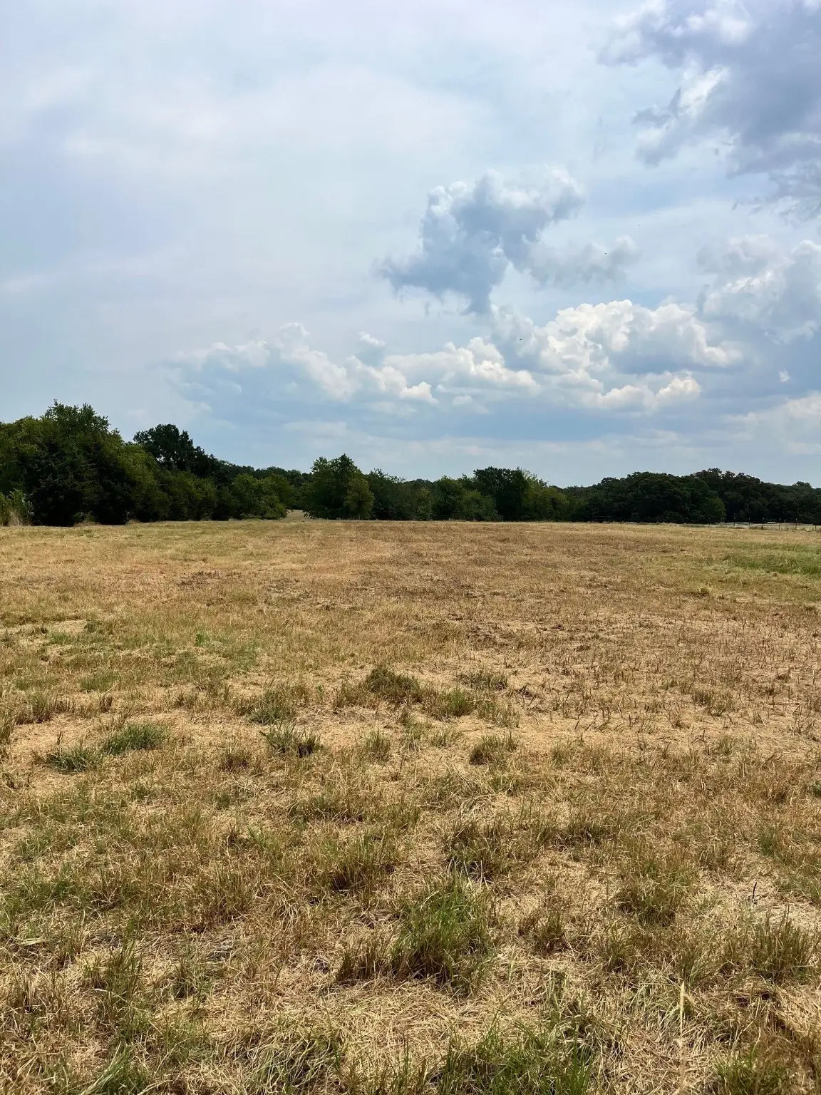 001 County Road 2610, Bonham, TX 75418 - Image #1