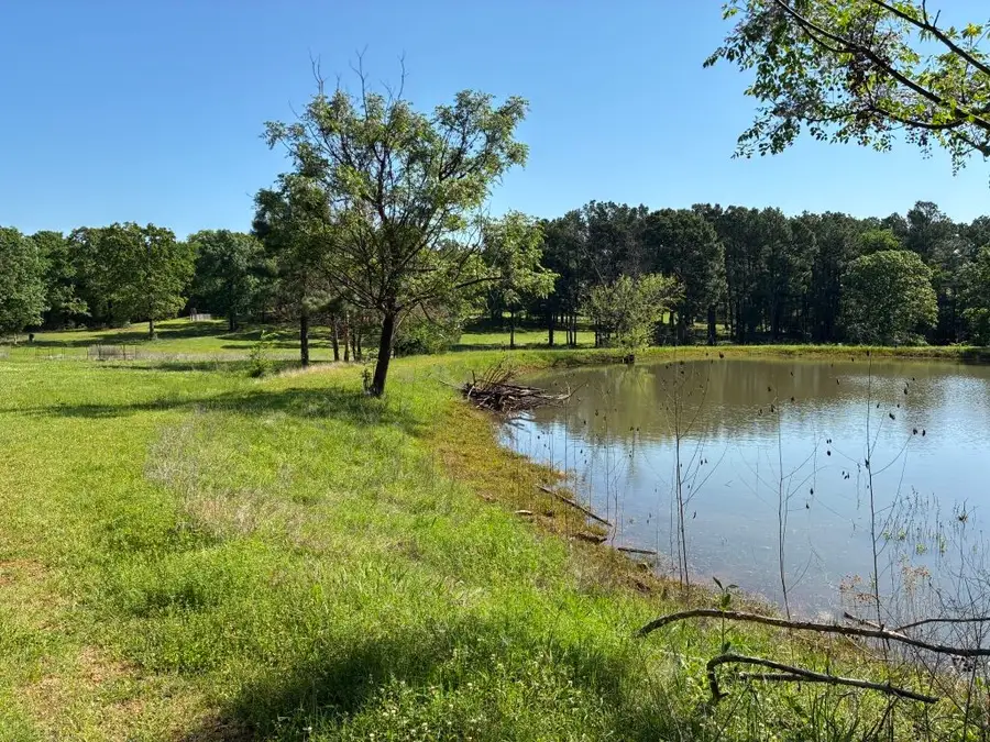 450 Vz County Road 4814, Ben Wheeler, TX 75754 - Image #3