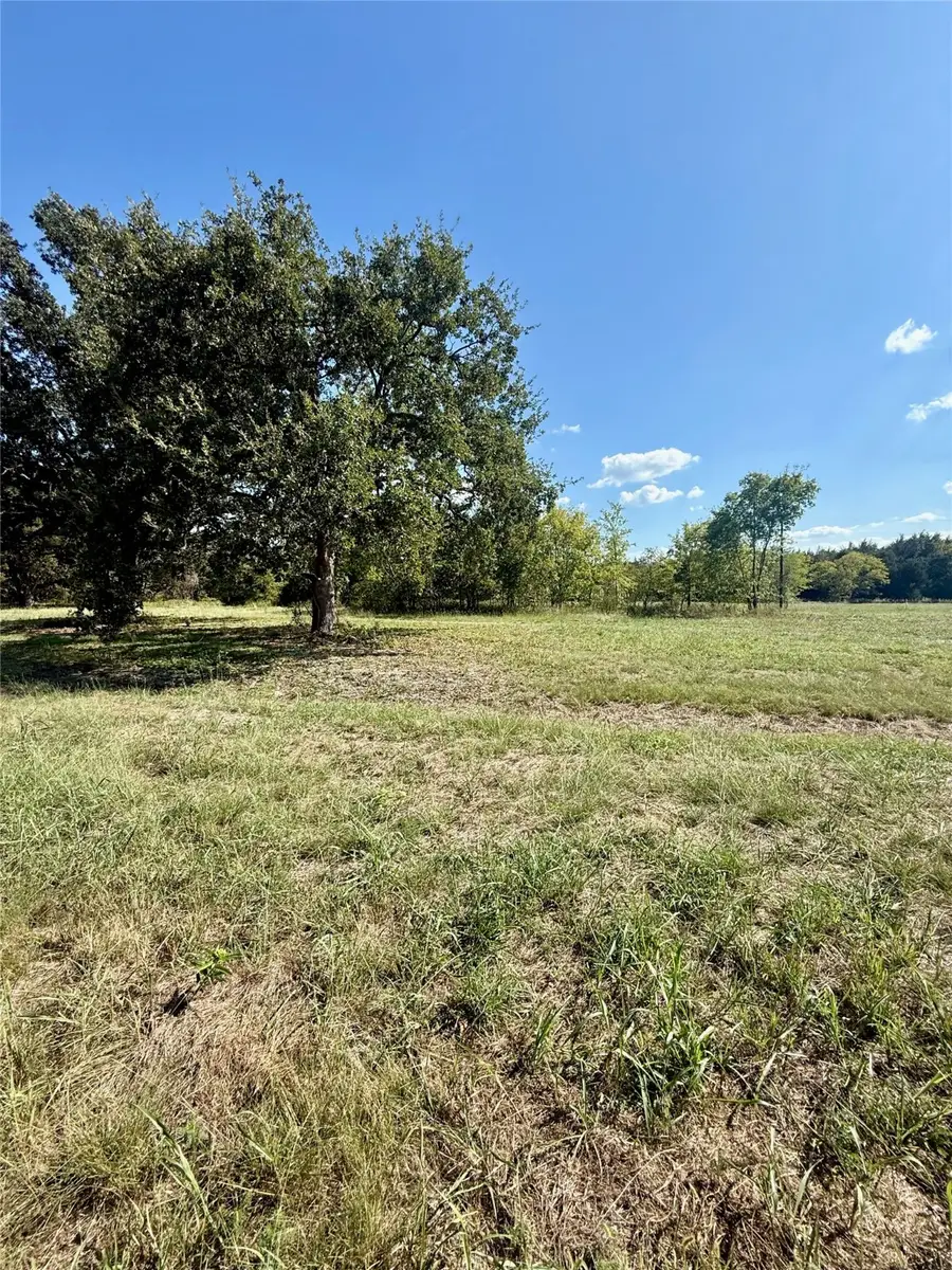 Lot 3 County Road 334, Quinlan, TX 75474 - Image #3