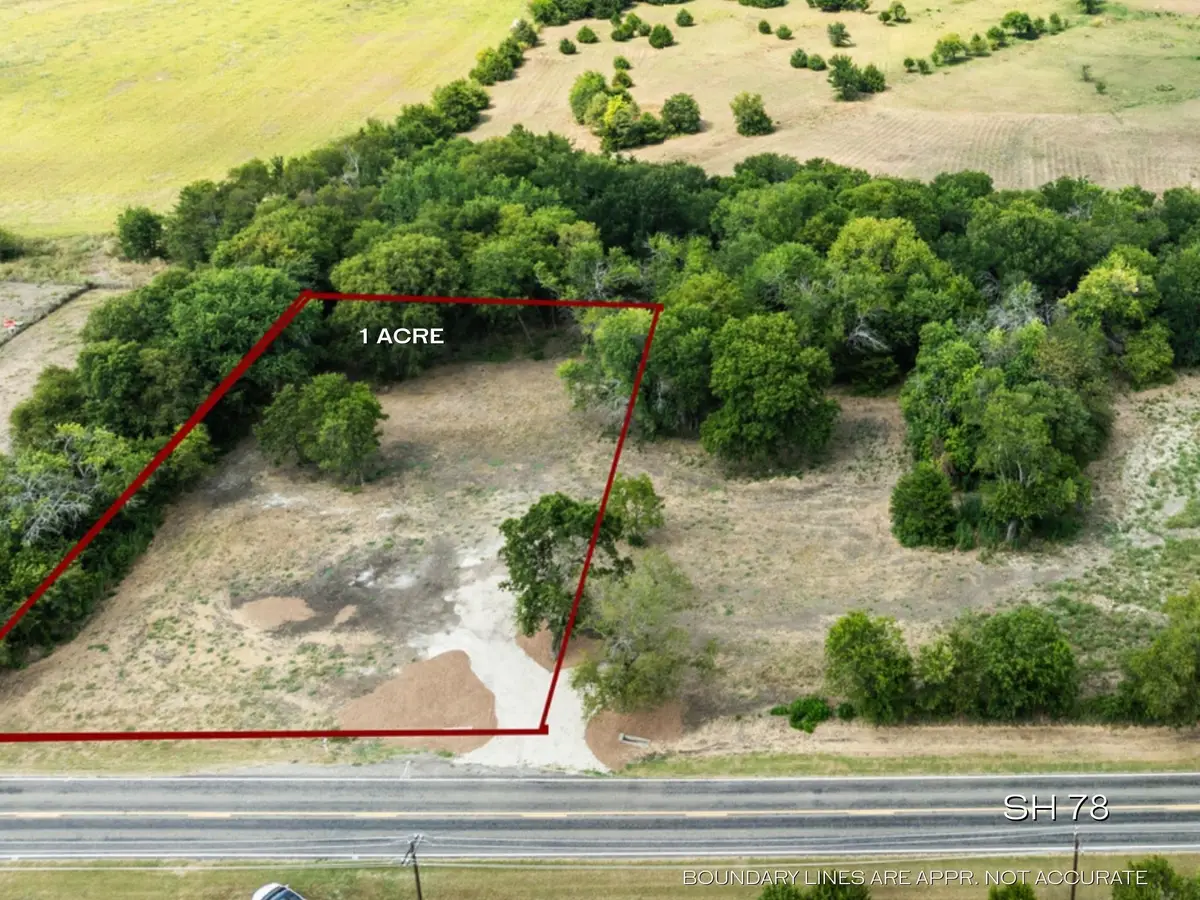 TBD Lot 5 S State Hwy 78, Leonard, TX 75490 - Image #1