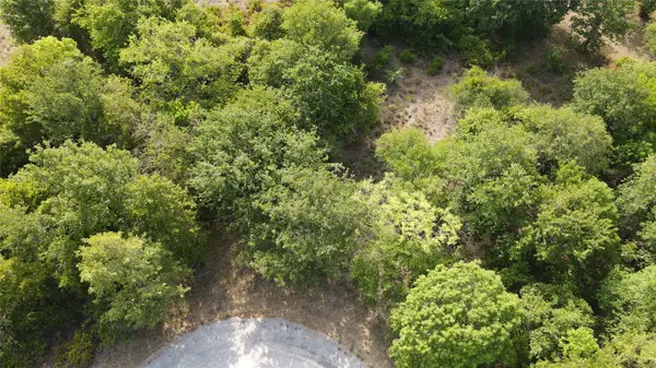 27164 Whispering Meadow Drive, Whitney, TX 76692