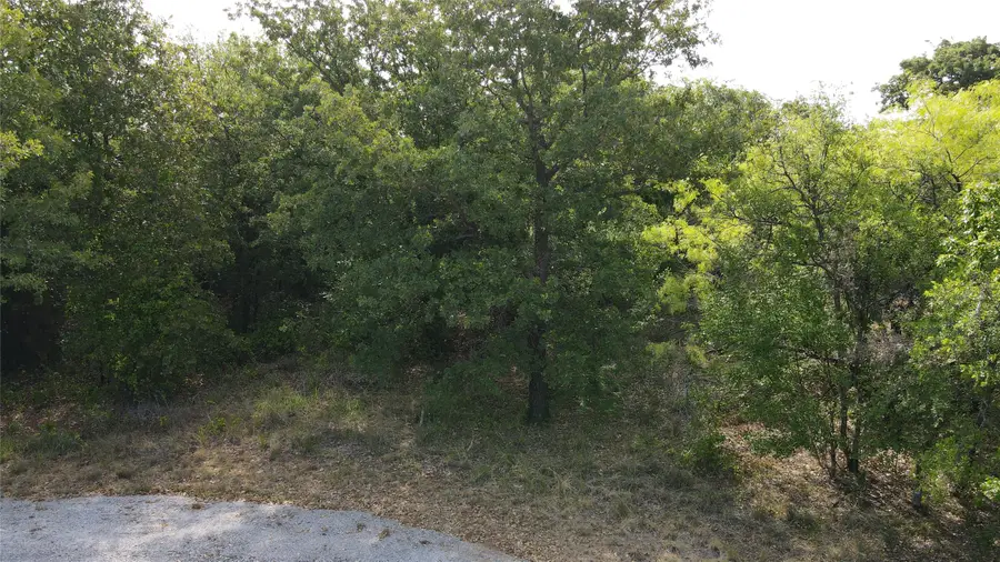 27164 Whispering Meadow Drive, Whitney, TX 76692 - Image #3