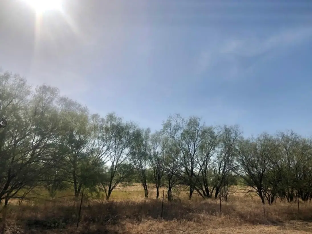 TBD Fm 266, Gustine, TX 76455 - Image #1