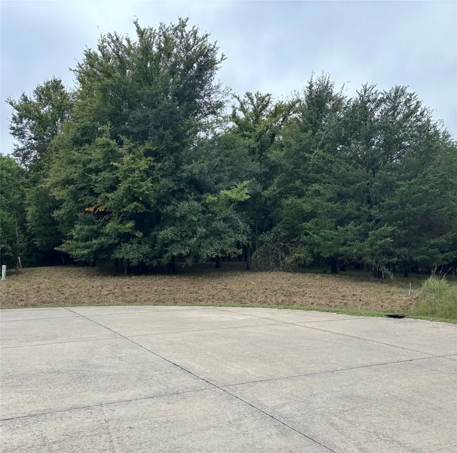 2099 Parkview Drive, Wills Point, TX 75169 - Image #3