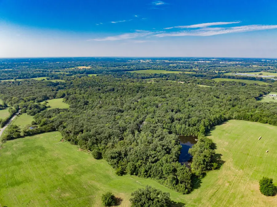 0000 County Road 3373, Winnsboro, TX 75494 - Image #3