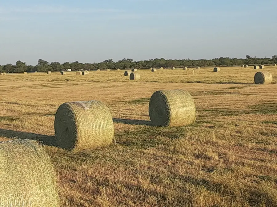 0000 Fm 578, Breckenridge, TX 76424 - Image #3