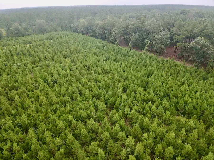 0000 Cr 2124, Clarksville, TX 75426 - Image #2