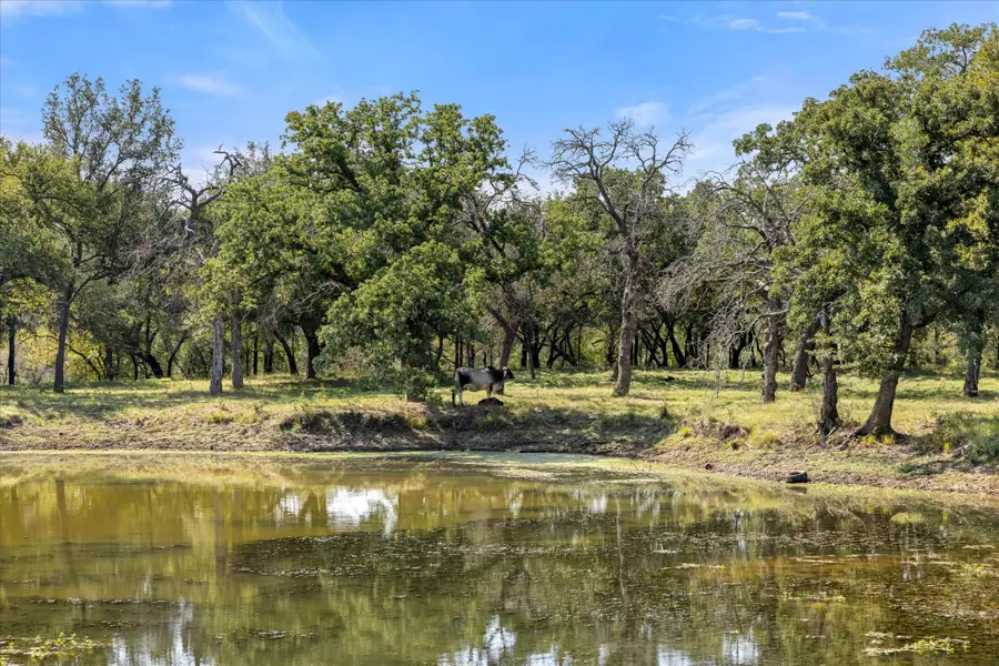 11230 Light Road, Lipan, TX 76462 - Image #3