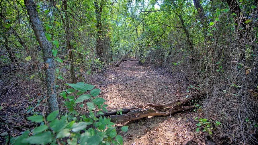 5775 Old Vashti Road, Bowie, TX 76230 - Image #2