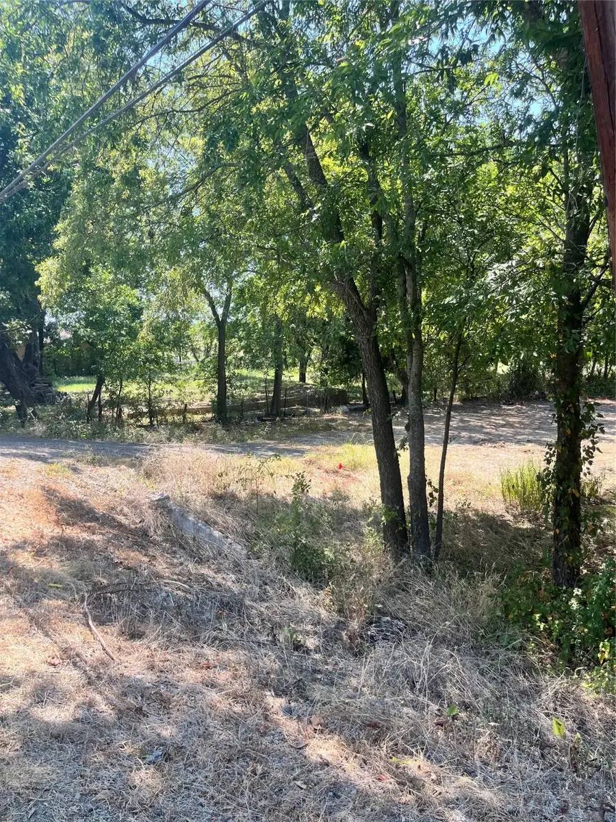 504 S Business Highway 78, Blue Ridge, TX 75424 - Image #3