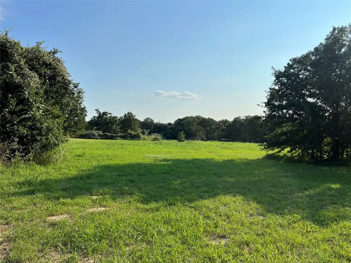 TBD Table Salt Court, Springtown, TX 76082 - Image #1