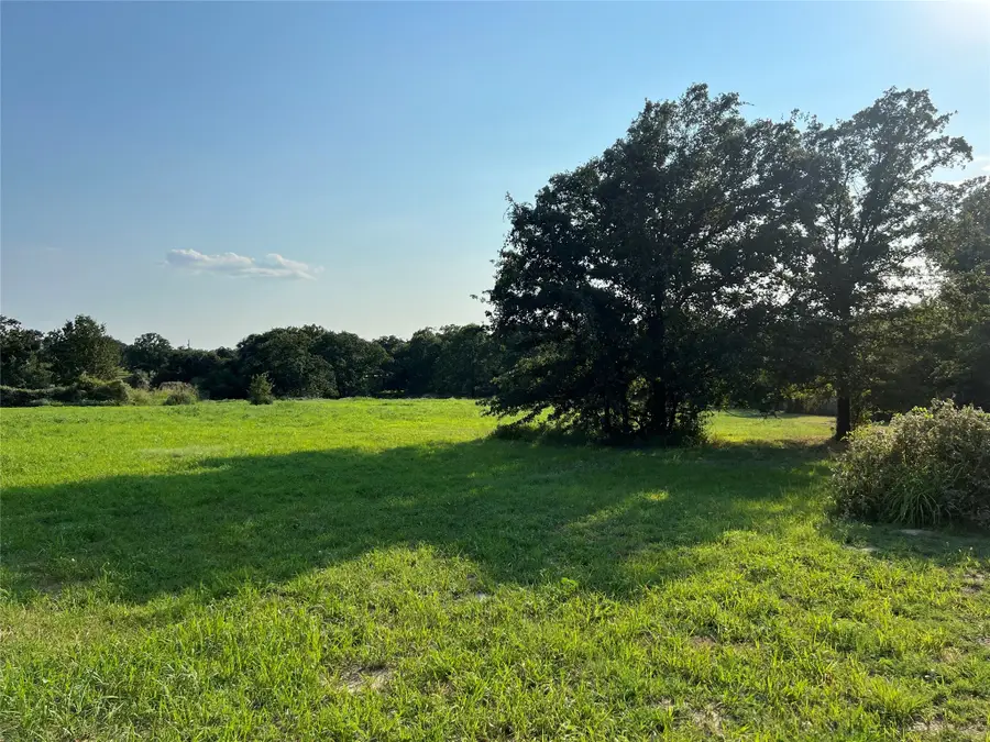 TBD Table Salt Court, Springtown, TX 76082 - Image #3