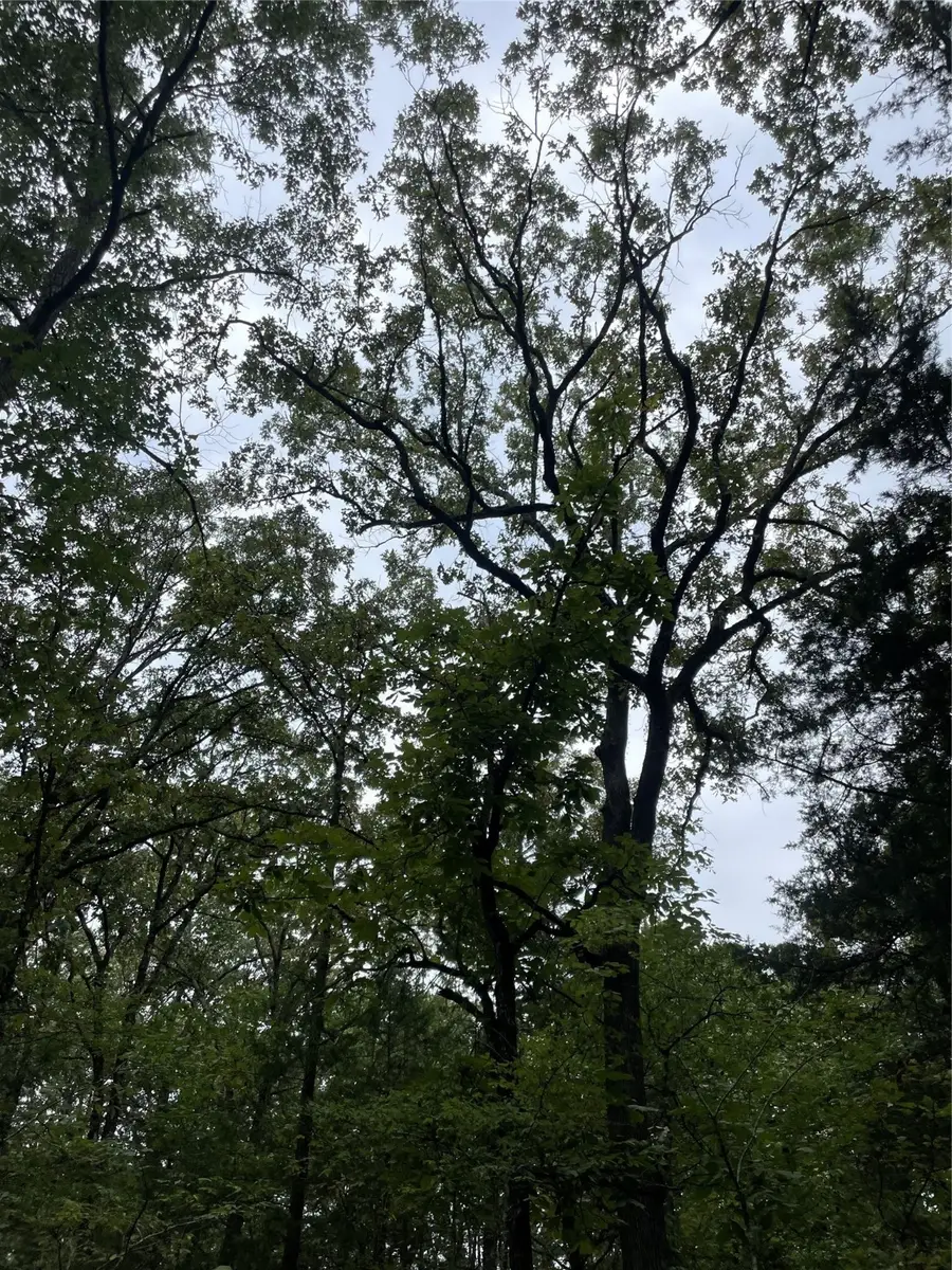 0016 Cr 1915, Talco, TX 75487 - Image #2