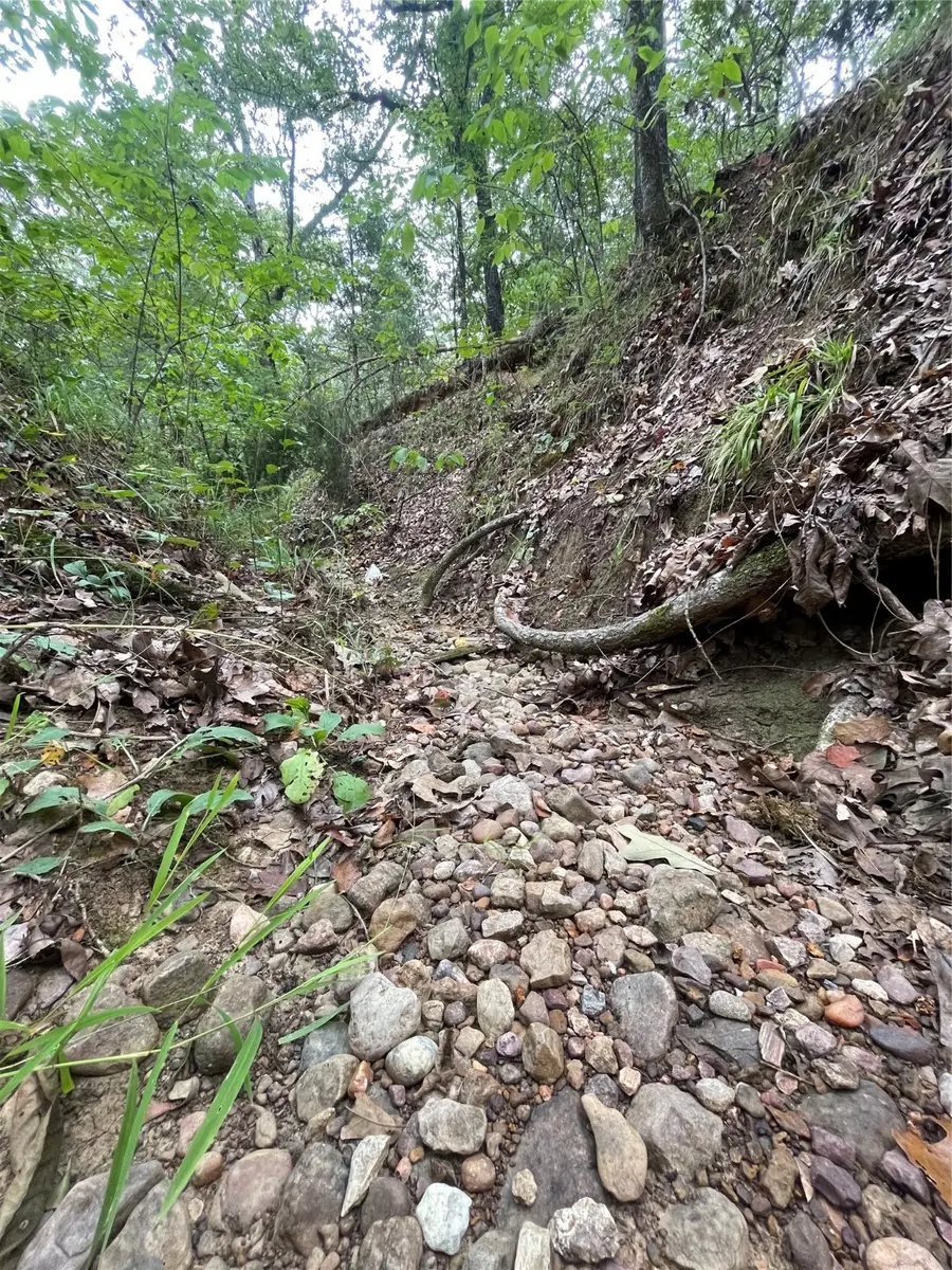 0016 Cr 1915, Talco, TX 75487 - Image #3