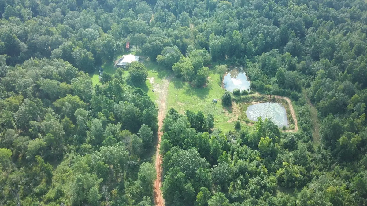 TBD South Co. Rd 4255, Henderson, TX 75654 - Image #1