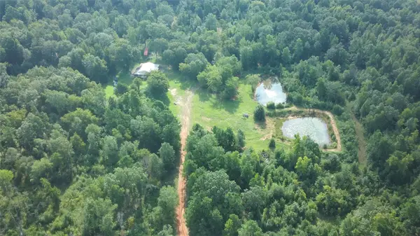 TBD South Co. Rd 4255, Henderson, TX 75654