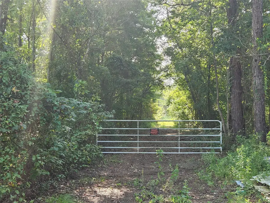 TBD South Co. Rd 4255, Henderson, TX 75654 - Image #2