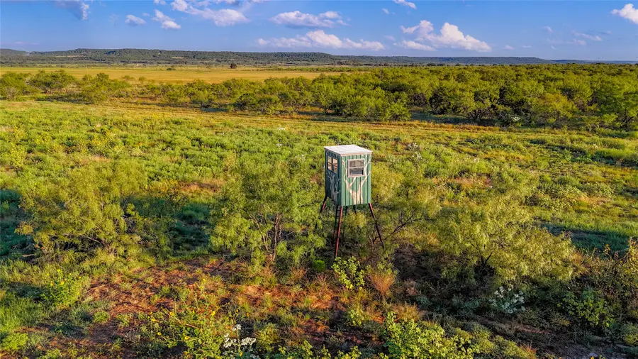 150 Mountain Drive, Graford, TX 76449 - Image #3