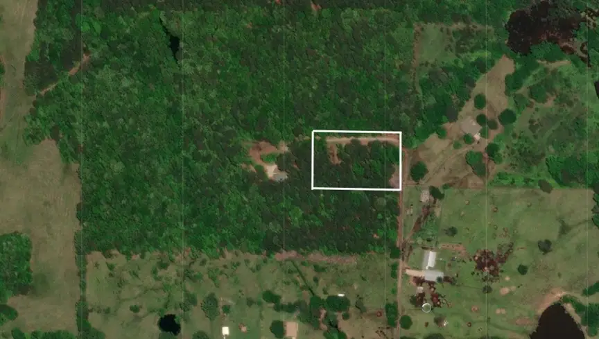 870 Cr 1675, Mount Pleasant, TX 75455 - #1