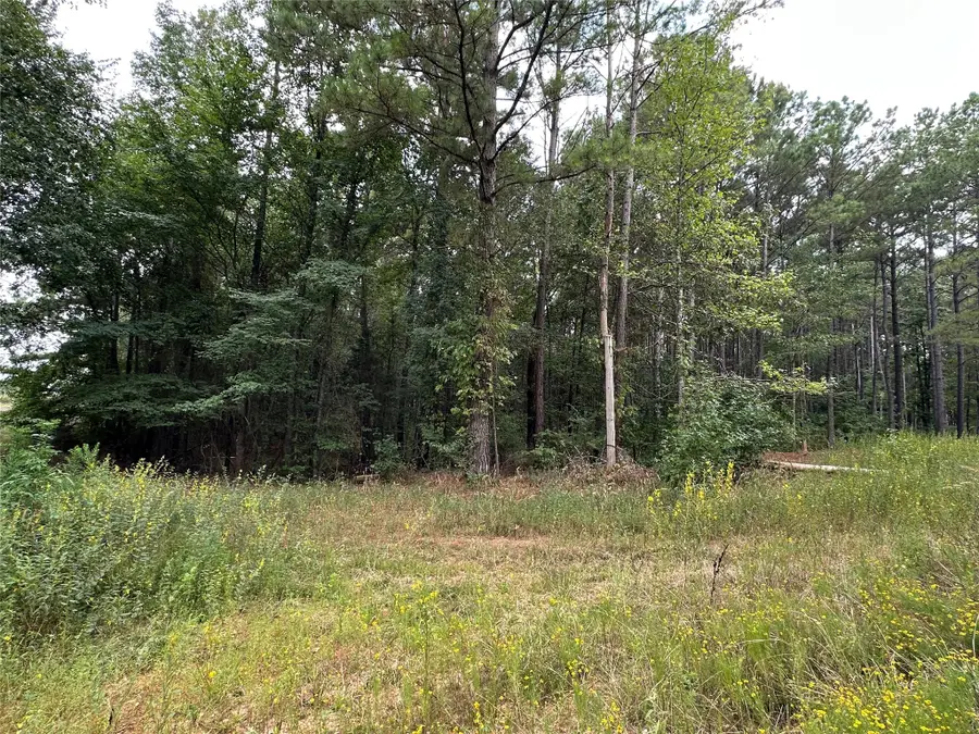 870 Cr 1675, Mount Pleasant, TX 75455 - #2