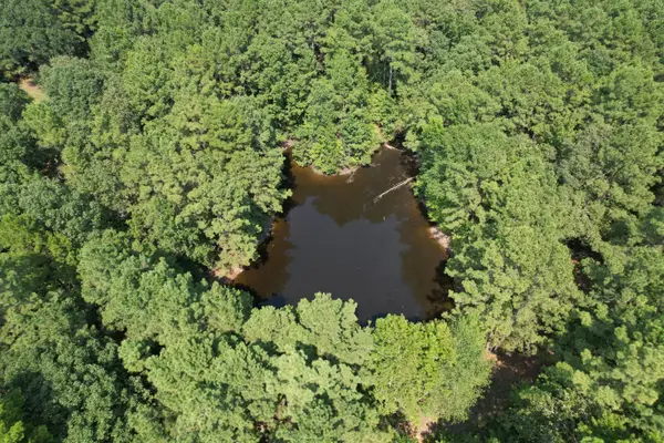 TBD County Road 283, Garrison, TX 75946