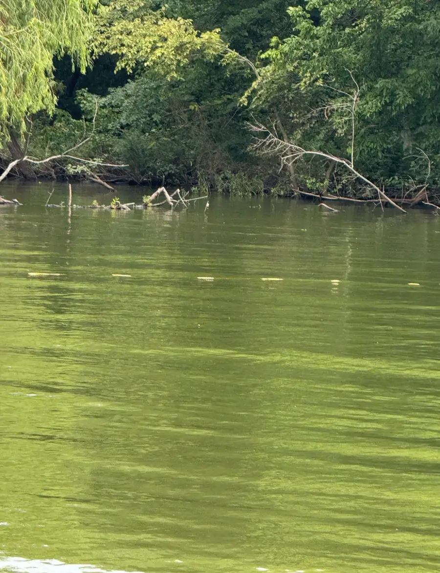 Lot 7 Cr 3732, Wills Point, TX 75169 - Image #2