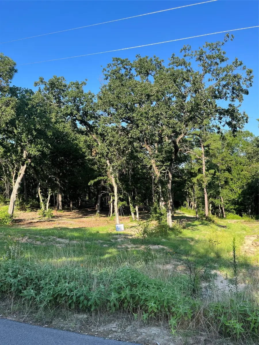 3242 Shadow Pine Drive, Larue, TX 75770 - Image #2