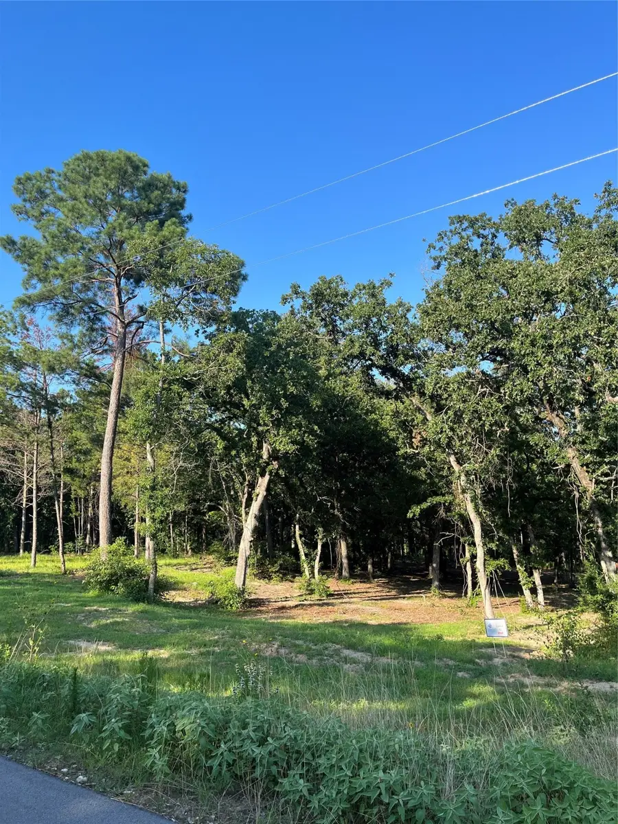 3242 Shadow Pine Drive, Larue, TX 75770 - Image #3