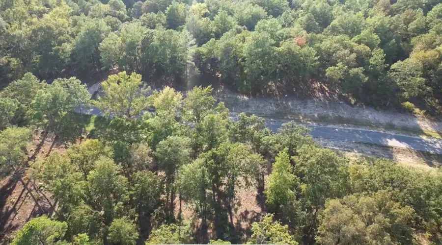 3226 Shadow Pine Drive, Larue, TX 75770 - Image #2