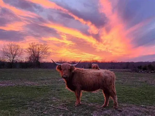 4081 Fm 2736 #A, Campbell, TX 75422