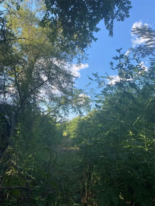 LOT 72 Harris, Sulphur Springs, TX 75482