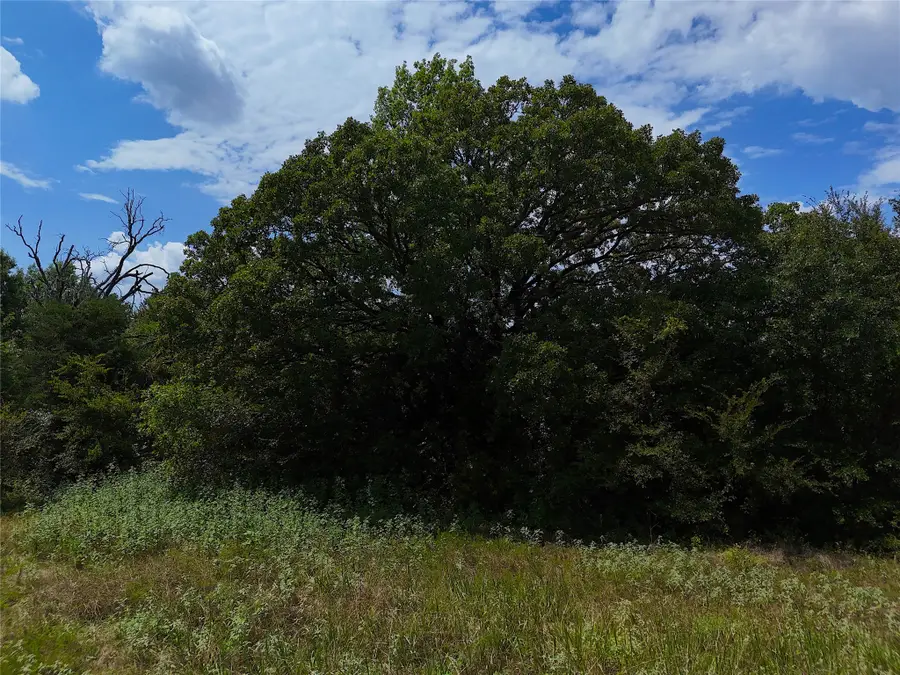 0155 Cr 2770, Honey Grove, TX 75446 - Image #2