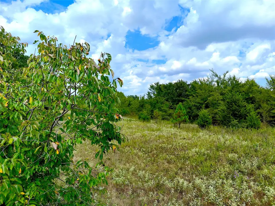 0155 Cr 2770, Honey Grove, TX 75446 - Image #3