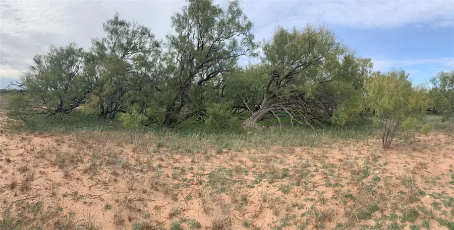 817 County Road 126, Trent, TX 79561 - Image #2