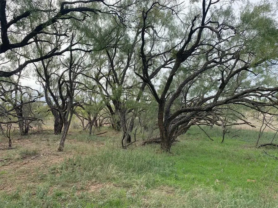 817 County Road 126, Trent, TX 79561 - Image #3