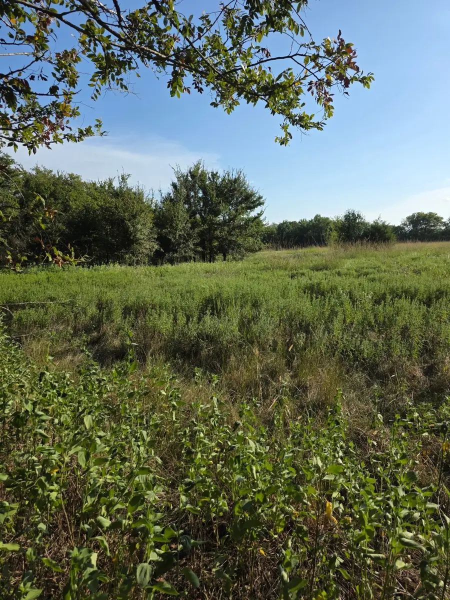 0000 N Grayson Street, Groesbeck, TX 76642 - Image #3