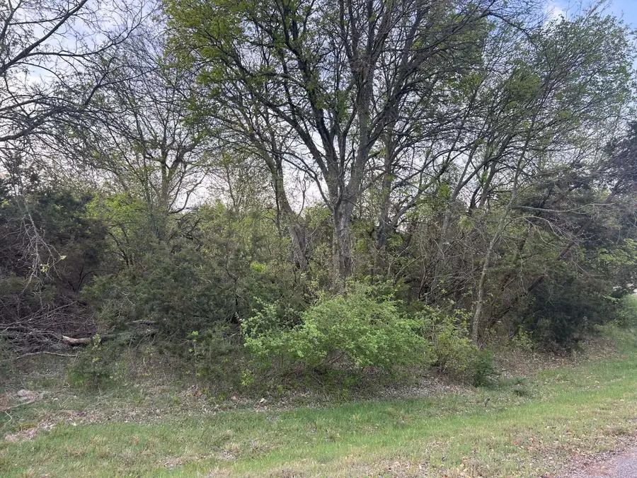000 County Road 1525, Morgan, TX 76671 - Image #2