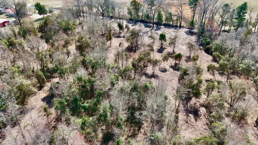 TBD County Rd 3211, Pittsburg, TX 75686 - #3