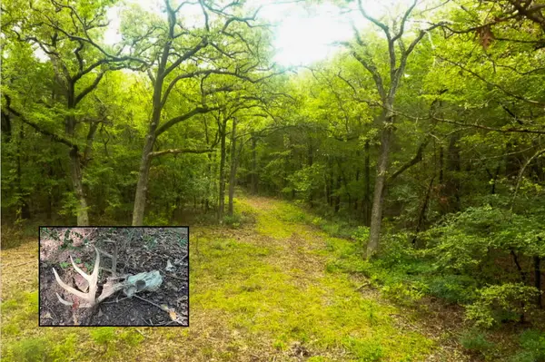 TBD Pearce Road, Collinsville, TX 76233