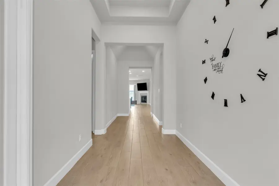 361 Moonvine Drive, Little Elm, TX 75068 - Image #3