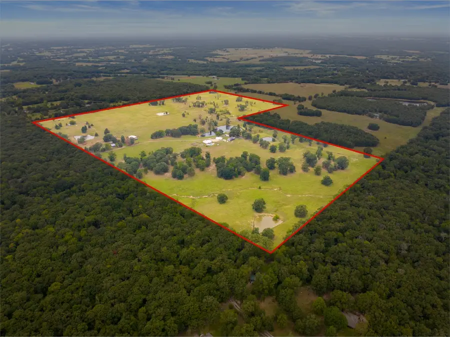 2213 Cr 3140, Cookville, TX 75558 - Image #2