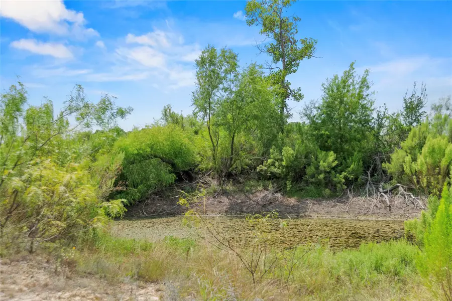 7325 County Road 350, Blanket, TX 76432 - Image #3