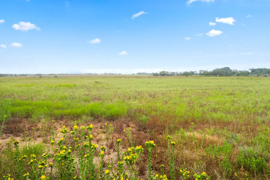 7756 County Road 241, Clyde, TX 79510 - Image #3