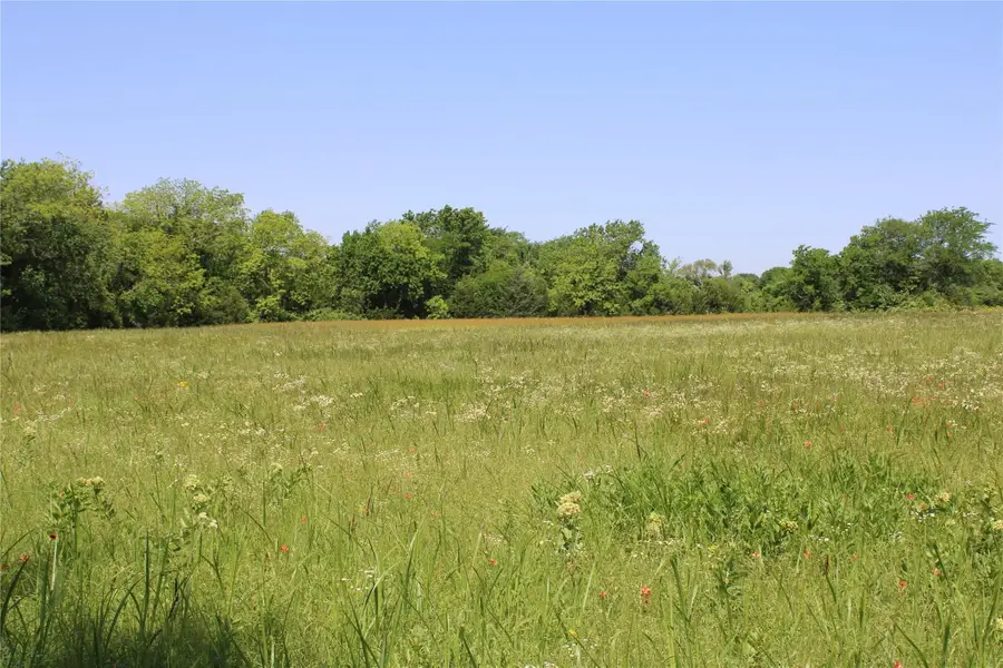 TBD 1233 County Road 3210 Street, Dodd City, TX 75438 - Image #3